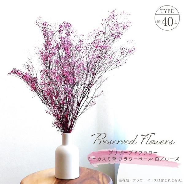 ■ 商品情報 ■アレンジメントのアクセントとして人気の高い花種、深みのある赤系に紫が入った上品な色調は鮮やか過ぎず、大人のカラーに白の清楚な要素が加わった絶妙なミックスカラーのプリザーブドフラワーが新登場。アレンジメントにボリュームを出した...