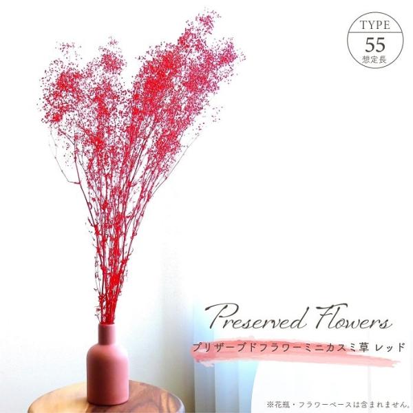 ■ 商品情報 ■アレンジメントのアクセントとして人気の高い花種、情熱的でエネルギッシュなイメージを与えるレッドカラー、お部屋にも暮らしにも元気や活力をもたらします。合わせる花材によって愛らしくも上品にも見せてくれます。世界の産地より生花を仕...