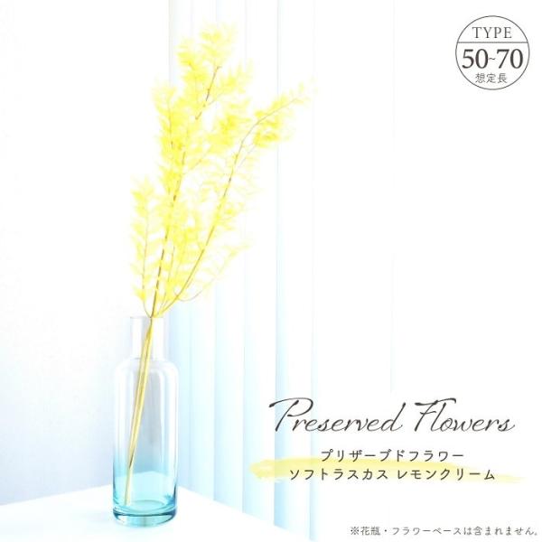 ■ 商品情報 ■長く伸びる枝木から可愛らしい小さなリーフが連なるシルエットが魅力、ロングタイプの「ラスカス」のプリザーブドフラワー。レモンクリームの魅力は爽やかさと目を引く存在感。お部屋全体をフレッシュで生き生きとした雰囲気にしたい時にピッ...
