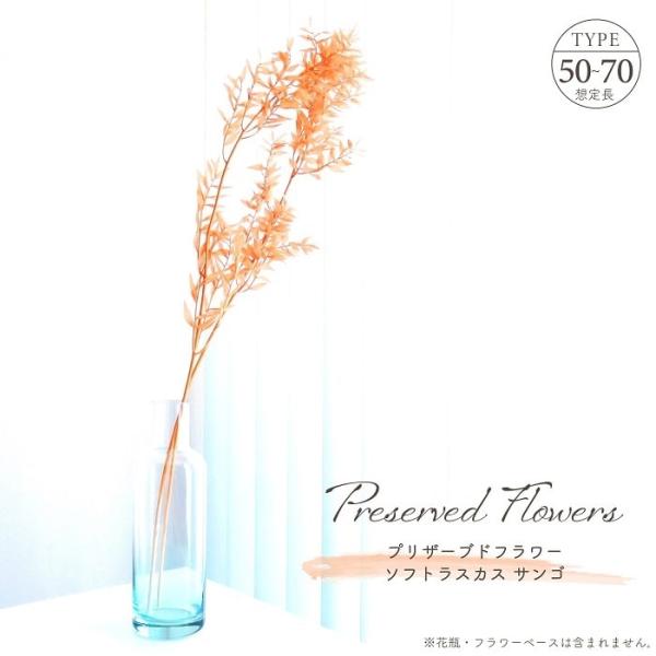 ■ 商品情報 ■長く伸びる枝木から可愛らしい小さなリーフが連なるシルエットが魅力、ロングタイプの「ラスカス」のプリザーブドフラワー。サンゴは軽めのオレンジカラー、温かみのある陽気な雰囲気を感じさせお部屋に明るさと華やかさを与えてくれる。先端...