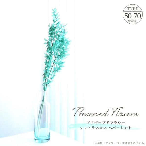 ■ 商品情報 ■長く伸びる枝木から可愛らしい小さなリーフが連なるシルエットが魅力、ロングタイプの「ラスカス」のプリザーブドフラワー。ミントグリーンは清涼感や清潔感をもたらす鮮やかなカラー、爽やかでボリュームがあると更に輝くような魅力を発揮。...