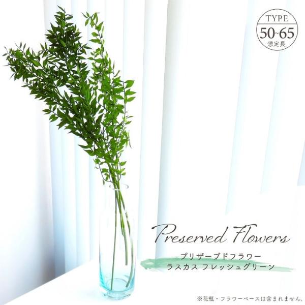 ■ 商品情報 ■長く伸びる枝木から可愛らしい小さなリーフが連なるシルエットが魅力、ロングタイプの「ラスカス」のプリザーブドフラワー。フレッシュグリーンは夏に見られる生命力豊かな木々の緑色を想わせる、落ち着いた雰囲気で癒しの空間を演出する。先...