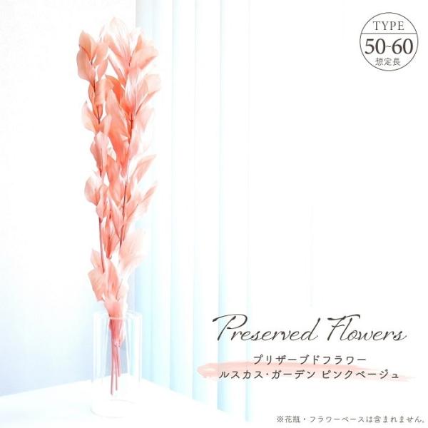 ■ 商品情報 ■硬い幹に丸みを帯びた葉、茎が変形して葉形になった葉状枝から花を咲かせる独特で魅力的なルスカスのプリザーブドフラワーです。温かさと柔らかさを持つ淡い色調のピンクベージュ、可愛らしく観ているだけで穏やかな気分になる。下から上へ葉...