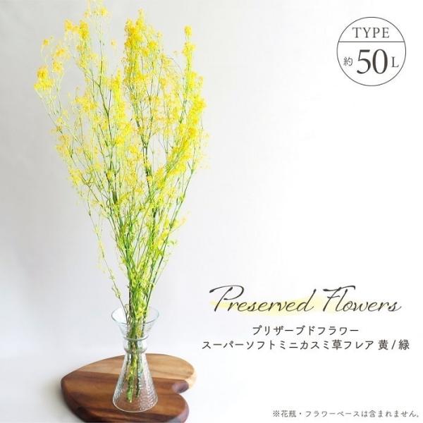 ■ 商品情報 ■アレンジメントのアクセントとして人気の高い花種かすみ草、イエローの生き生きとした明るさにグリーンが調和をもたらした絶妙なバランスが魅力のミックスカラーのプリザードフラワー。様々なテイストのインテリアにも良く馴染みお部屋にさり...