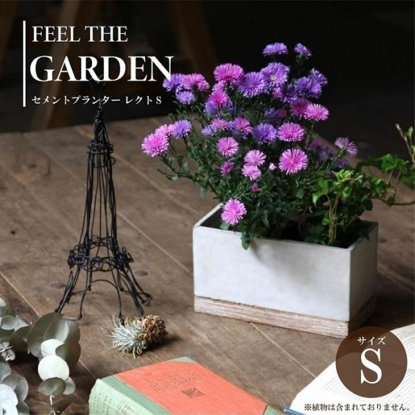 鉢 プランター FEEL TH GARDEN セメントプランター レクトS 受皿付 底穴有 長方形 植木鉢 ガーデニング 園芸 インダストリアル モダン おしゃれ インテリア