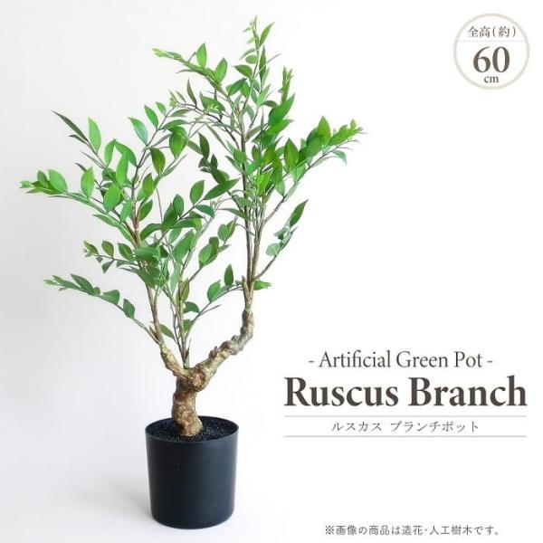 人工観葉植物 アーティフィシャルグリーン ルスカス ブランチポット 高60cm ミニツリー 黒プラ鉢 造花 フェイク グリーン 鉢物 観葉植物 おしゃれ インテリア