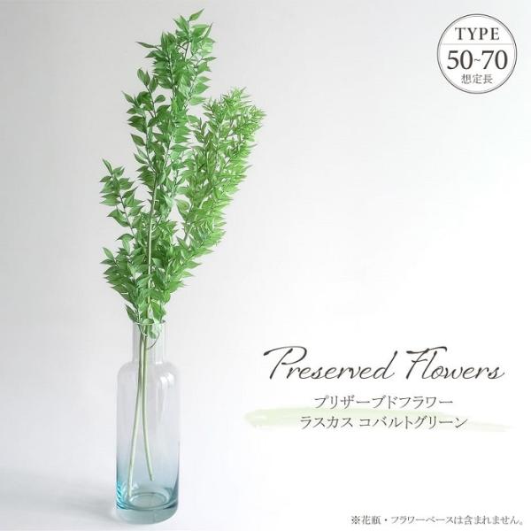 ドライフラワー プリザーブドフラワー ラスカス コバルトグリーン 25g入 約L50〜65cm 天然素材 リーフ 葉物 花材 アレンジメント グリーン 緑 インテリア