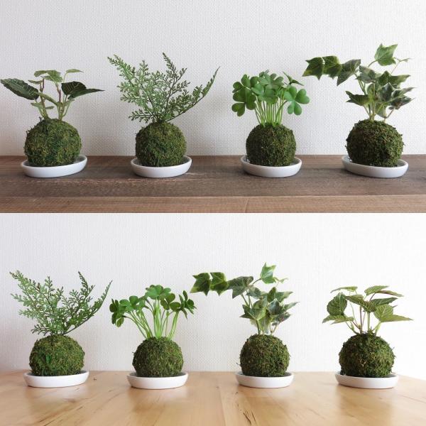 観葉植物 造花 Wa Bonsai 和盆栽 苔玉 和モダン Ct触媒加工 消臭 インテリア Buyee Buyee Japanese Proxy Service Buy From Japan Bot Online