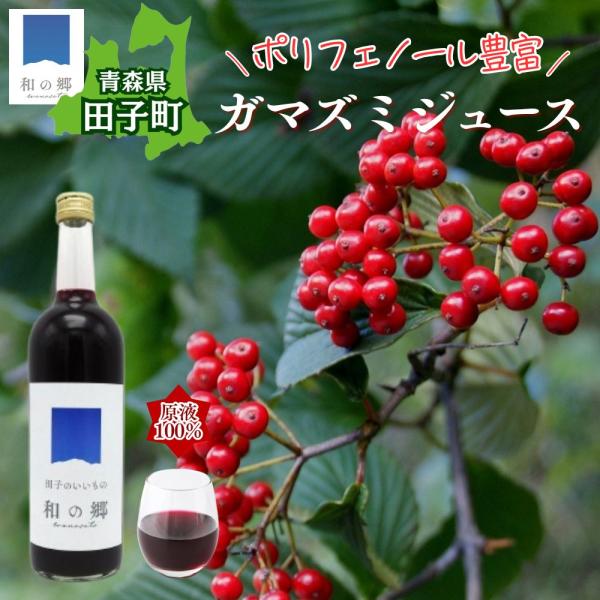 青森産 ガマズミジュース 720ml お試し 無添加 希少 国産 産地直送