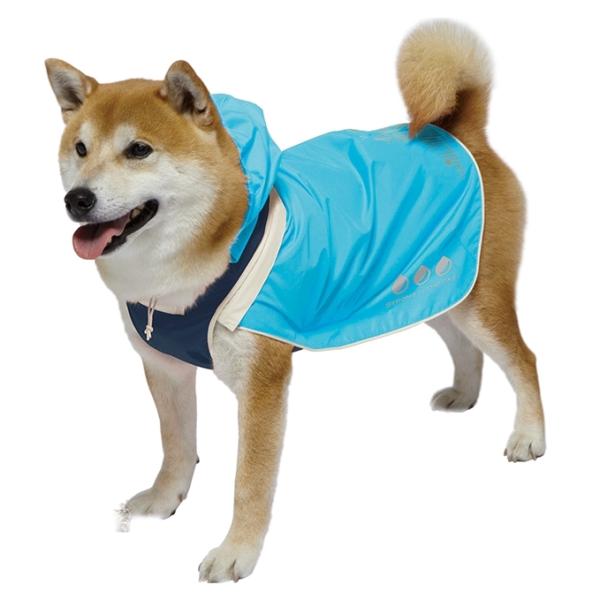 N[|L) hM[} X|[eB[CEFA (u[×lCr[)A[oX^C 5 ČAr[OAR[M[Ȃǂ 4976555641899 AL0