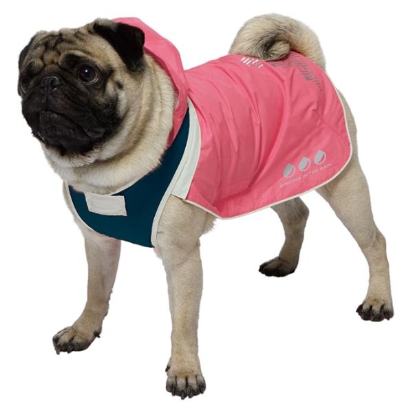 N[|L) hM[} X|[eB[CEFA (sN×lCr[)A[oX^C 4 4976555641943 AL0