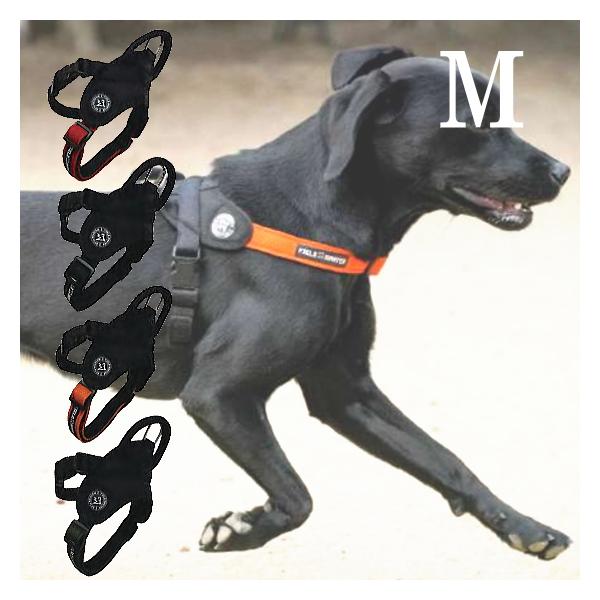 ワンちゃんにも活発的で健康なまいにちを。のびのび走快！カラー：レッド・ブラック・オレンジ・カーキ原材料：ポリエステルカラーをお選びください。※必ず事前に採寸をお願いします。 特に首輪・胴輪は開封後の返品不可のためご注意ください。 わんぱくで...