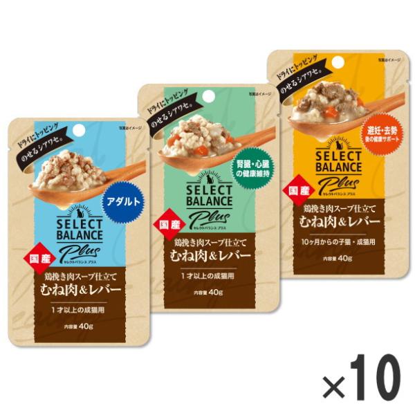 クーポン有) 国産 セレクトバランスプラス 猫用 40g 10袋セット 選べる セレクトバランスPlus 鶏挽肉スープ仕立て むね肉&レバー ドッグフード 無添加 AM0