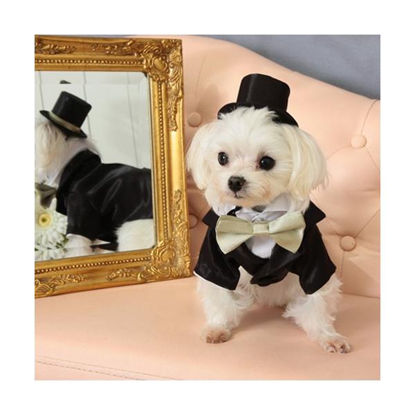 【送料無料】結婚式や記念日に。愛犬のためのタキシードスーツ&シルクハット＆蝶ネクタイセット（受注生産）