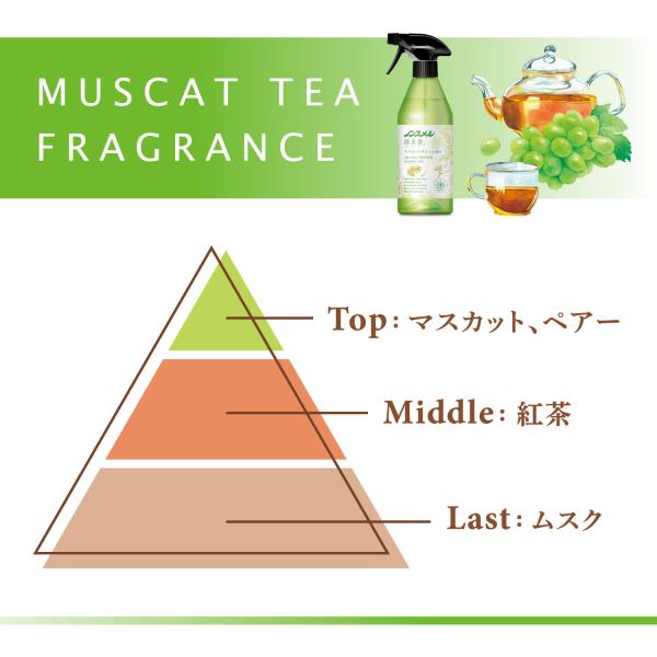 �m���X���� ������ �}�X�J�b�g�e�B�[ �� ���� 400mL 10�{�Z�b�g �����A�[�X ���i�摜2