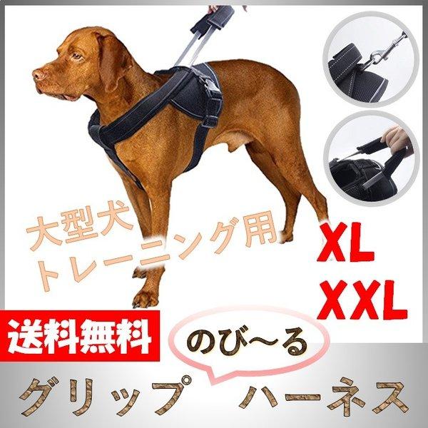 犬用 ハーネス 大型犬 中型犬 超大型犬 しつけ 胴輪 トレーニング 引っ張り防止 高品質 伸縮 のび るハーネス Xl Xxl Hnsgrip Xlxxl わんわん Square Garden 通販 Yahoo ショッピング
