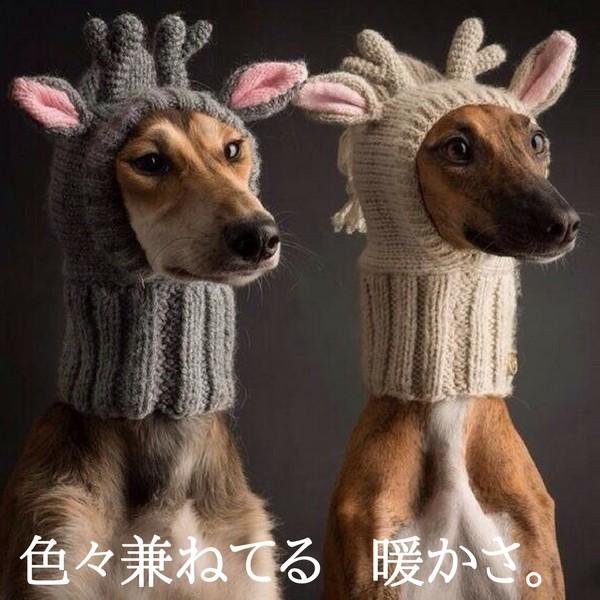 犬 服 犬の服 帽子 スヌード 毛糸 被り物 トナカイ イタグレ キャップ いろいろ兼ねてるあったかキャップ Buyee Servis Zakupok Tretim Licom Buyee Pokupajte Iz Yaponii