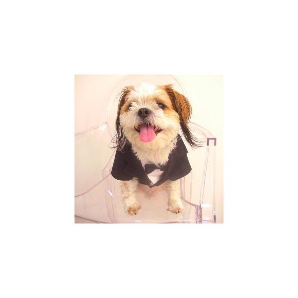 犬のタキシード タキシード 愛犬との結婚式や前撮に ペットのタキシード 蝶ネクタイ Buyee Buyee Japanese Proxy Service Buy From Japan Bot Online