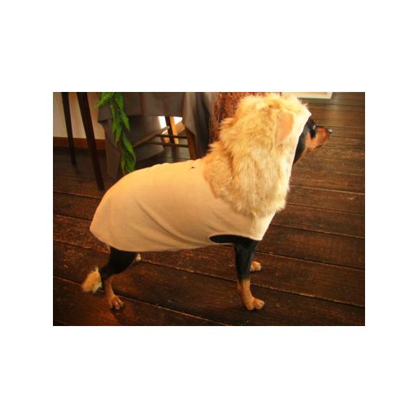 犬のコスチューム ライオン ペット用コスチューム ハロウィン仮装 犬服 犬の洋服 Buyee Buyee Japanese Proxy Service Buy From Japan Bot Online