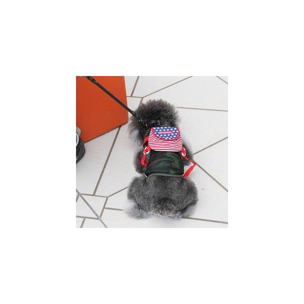 ̃bNyUbN_USA Stars and StripeszAJ