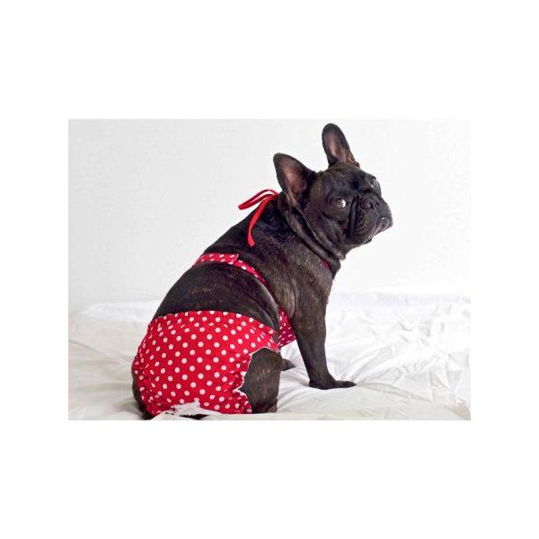 Puppine掲載 犬のビキニトップ パンツセット Red Polka Dot 犬 水着 ペット用水着 夏 Buyee Buyee Japanese Proxy Service Buy From Japan Bot Online