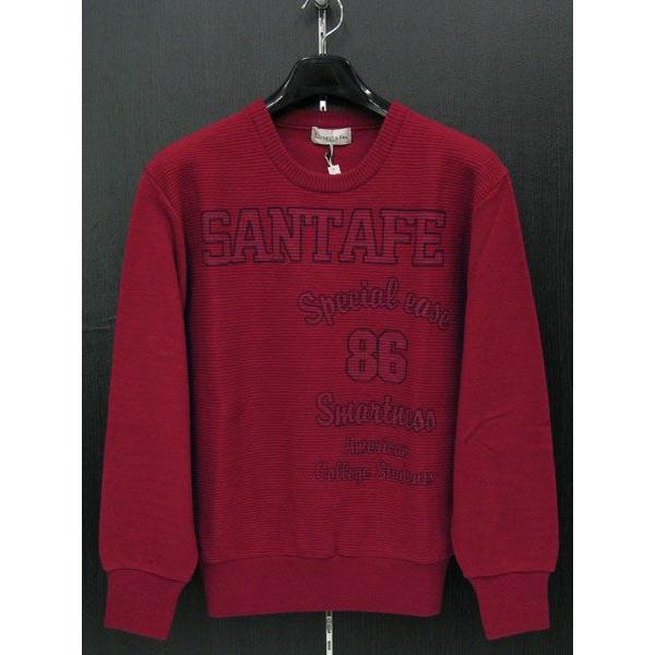 �T���^�t�F �E�[���Z�[�^�[ �� 12819-067 santafe