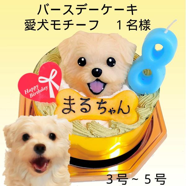犬用ケーキ 愛犬モチーフ バースデー 3号1名様 01 わんわんケーキ ココまる 通販 Yahoo ショッピング