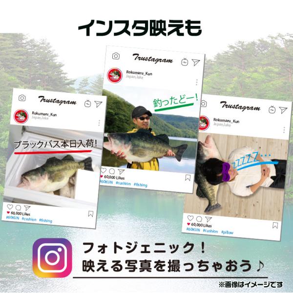 Rokumarukun 60kun 75cm ブラックバス クッション バス釣り バス 釣り 魚 釣りグッズ Buyee Buyee 日本の通販商品 オークションの代理入札 代理購入