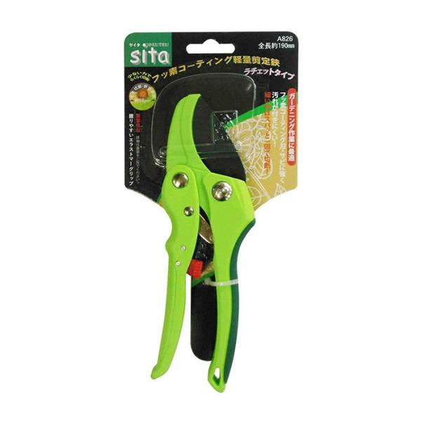 360904 @tbfR[eBOyʙ`WQU  `Fbg^Cv