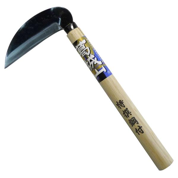 331331 ����R�@�|�t����#�R�R�U�P