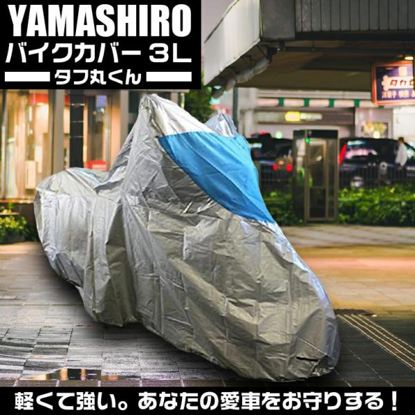 oCNJo[@^t}@3LTCY Vo[ ^tۂ R oCNJo[ oCNp oCN [hX|[c K[W Ԍ