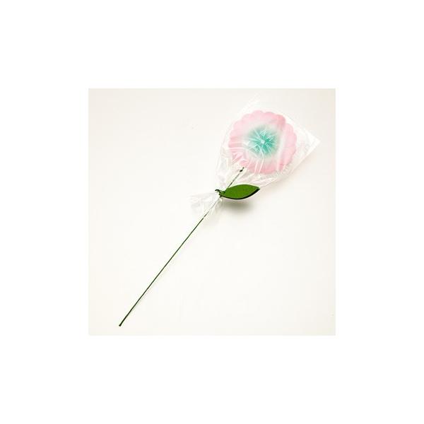 D Hana Fusen プラスディー 花付箋 全4色 Buyee Buyee 日本の通販商品 オークションの代理入札 代理購入