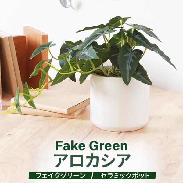 waraku-neiro_fjb-025