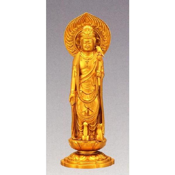 ybg{@b@ybgω@Ђ@F@b@yz10z50-1