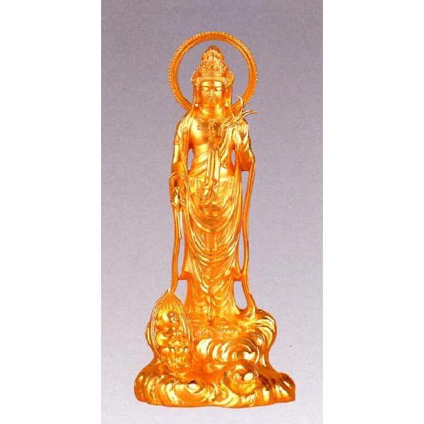 b@ωF@bLd@20b@yz10z6-3