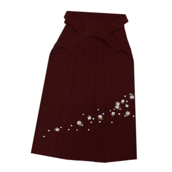  ͂ n hJ GWn r l k kk Ǝ p w TCY 傫