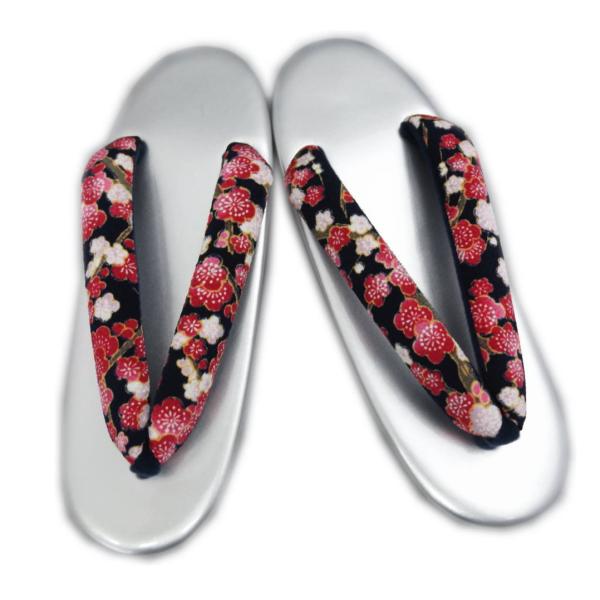   䍕Fn~} t[ 24cm  Ǝ   p a p