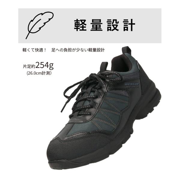 washington_00015141_3_d_20250917152805