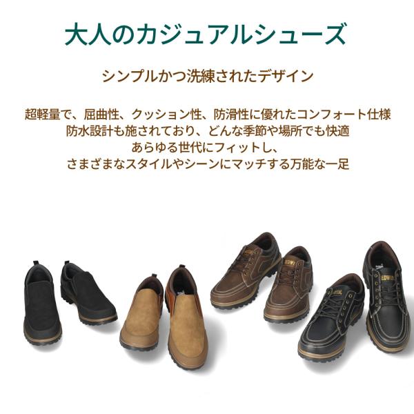 washington_00016077_1_d_20240705112210