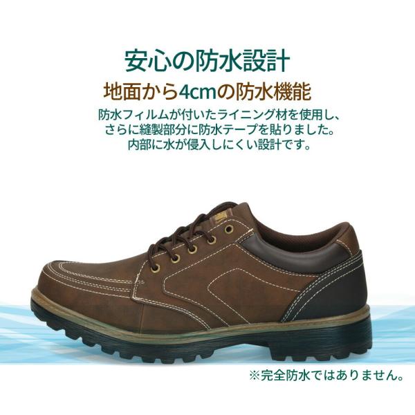 washington_00016077_2_d_20250611171300