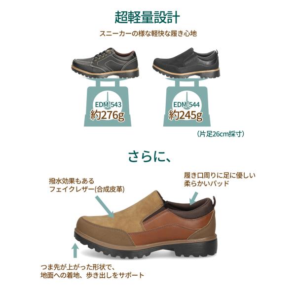 washington_00016077_5_d_20240705112212