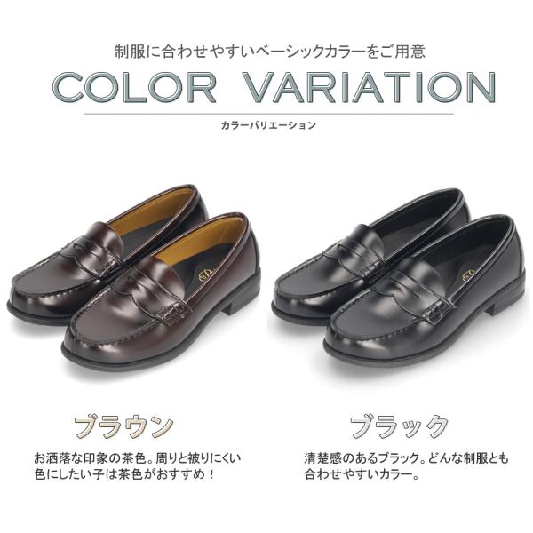 washington_00021797_2_d_20240219111125