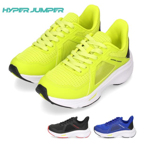 希少・2色］黄金ソテツ［A-36］ 希少・2色］黄金ソテツ［A-36］