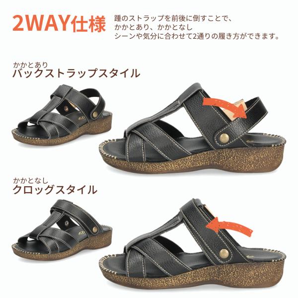 washington_00022445_2_d_20240622155533