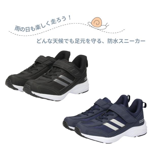 washington_00022461_1_d_20251119094853