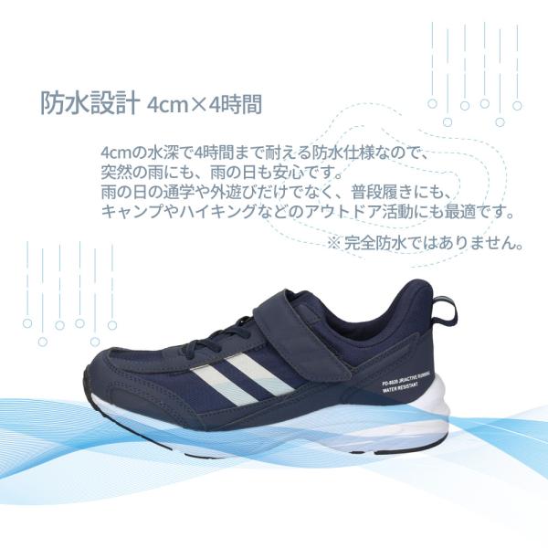 washington_00022461_2_d_20251119094854