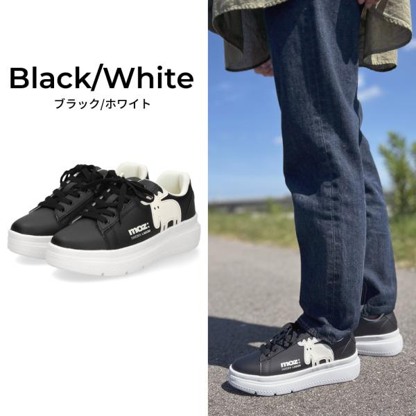 washington_00025251_1_d_20251011102352