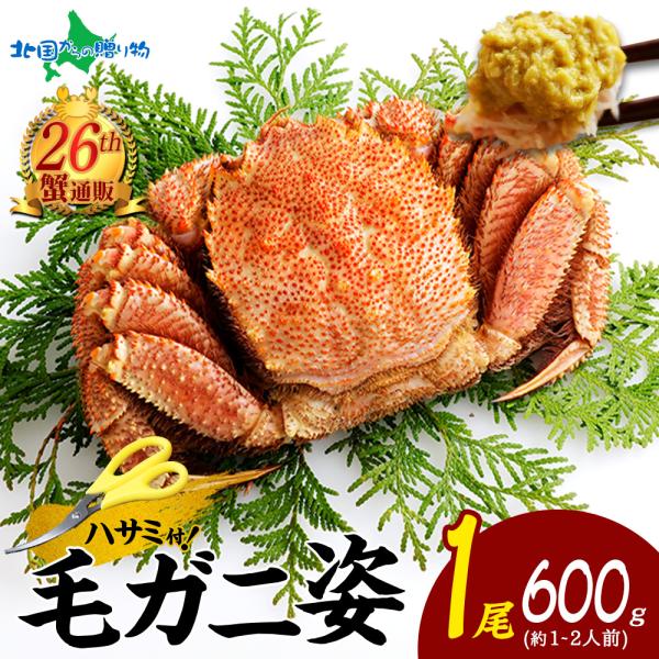 北海道 毛蟹 姿 600g かに ボイル カニ ギフト お歳暮 蟹 御歳暮 海鮮 毛ガニ 食べ物