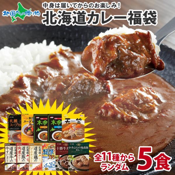 ランダム5食 北海道 カレー福袋 お楽しみ食べ比べ5食セット レトルトカレー ギフト カレー レトルト 食品 詰め合わせ