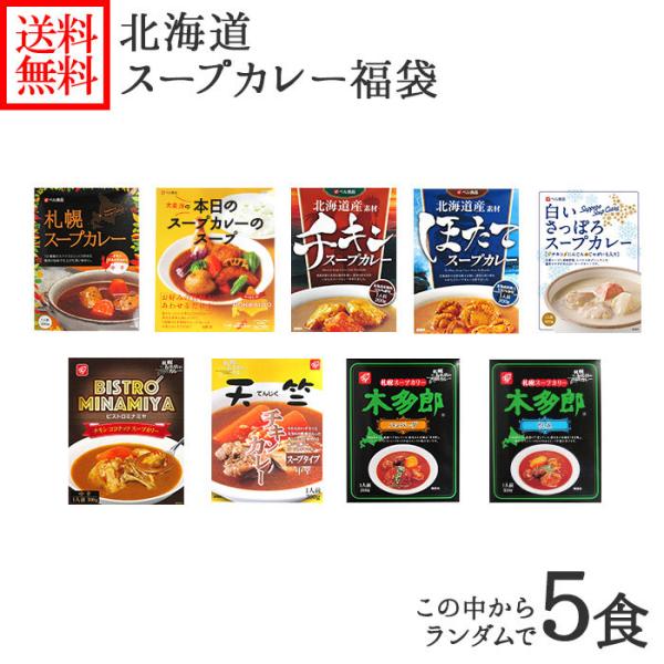 お中元 父の日 ランダム5食 北海道 スープカレー レトルト 食品 福袋 カレー セット ギフト プレゼント 食べ物